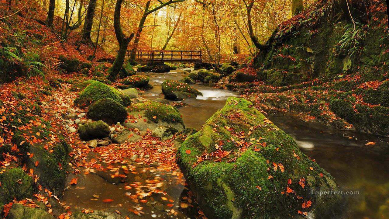 Autumn Stream Fallen Leaves Landscape Painting from Photos to Art Oil Paintings